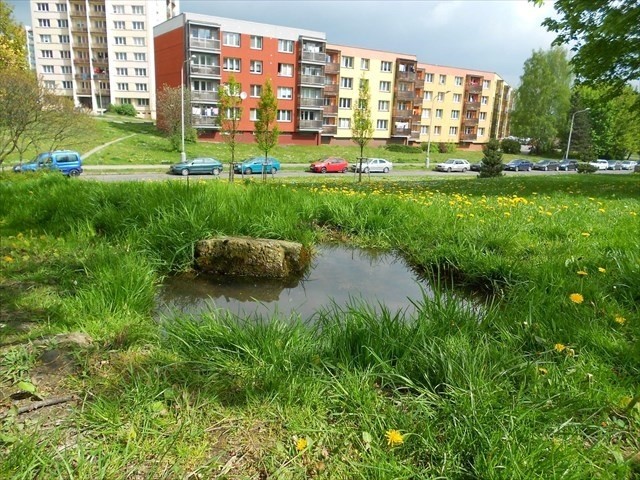 pramen Nový Pustkovec (14828) - duben 2014