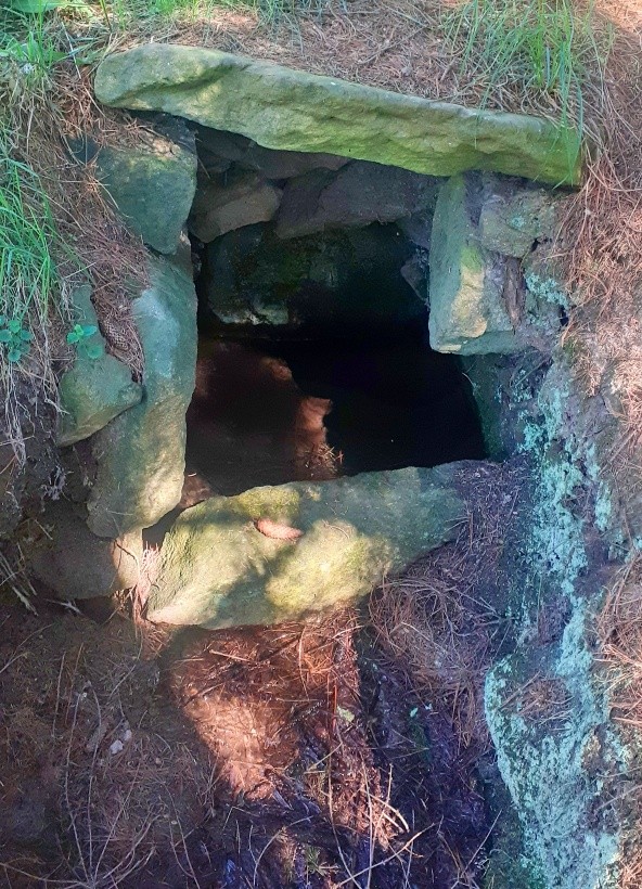 studánka bez jména (14829) - květen 2023