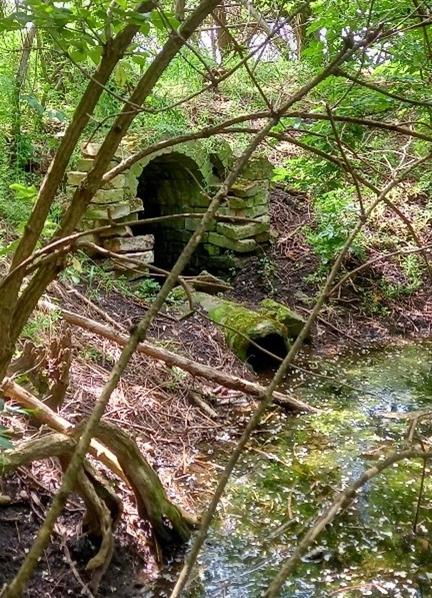 studánka U Drnholce (14831) - květen 2023