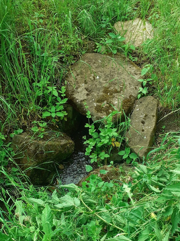 studánka bez jména (14833) - květen 2023