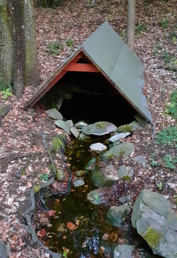 studánka bez jména (14834) - květen 2023