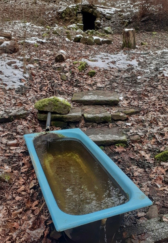 studánka bez jména (14835) - leden 2023