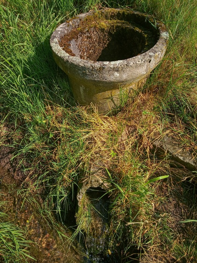 studánka Žabka (14857) - červen 2023