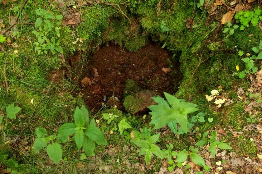 studánka U Škanderky (14859) - červen 2023