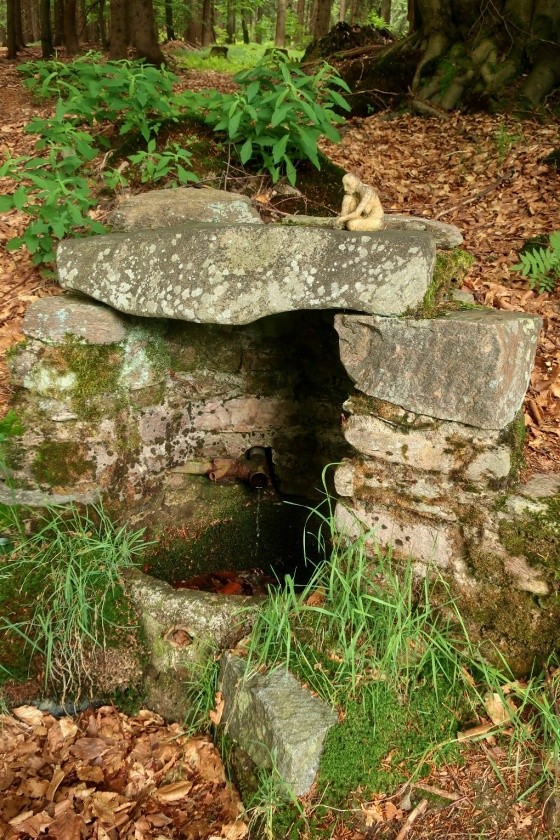 studánka bez jména (14862) - červen 2023