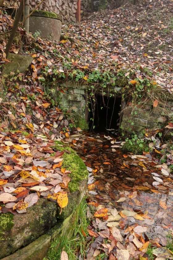 jiný vodní zdroj bez jména (14866) - listopad 2022