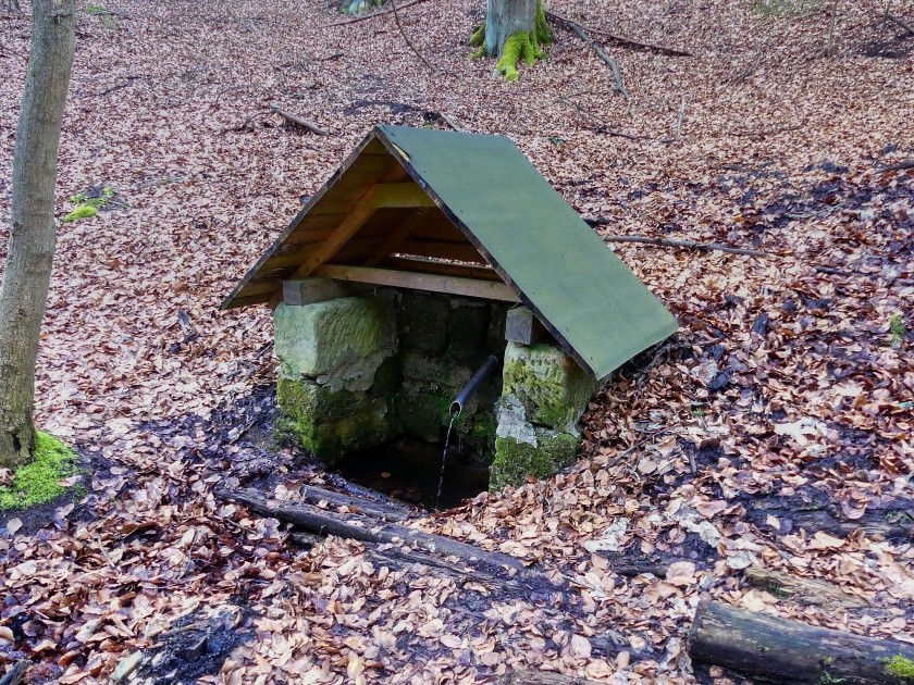 studánka Pod Kobylou (14868) - červen 2023