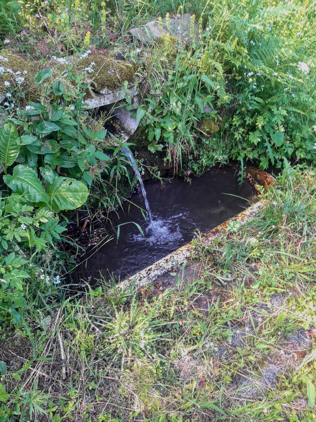 studánka Na Chmelce (14879) - červen 2023