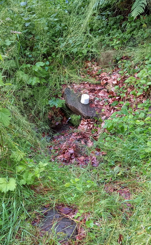 studánka U sv. Anny (14882) - červen 2023