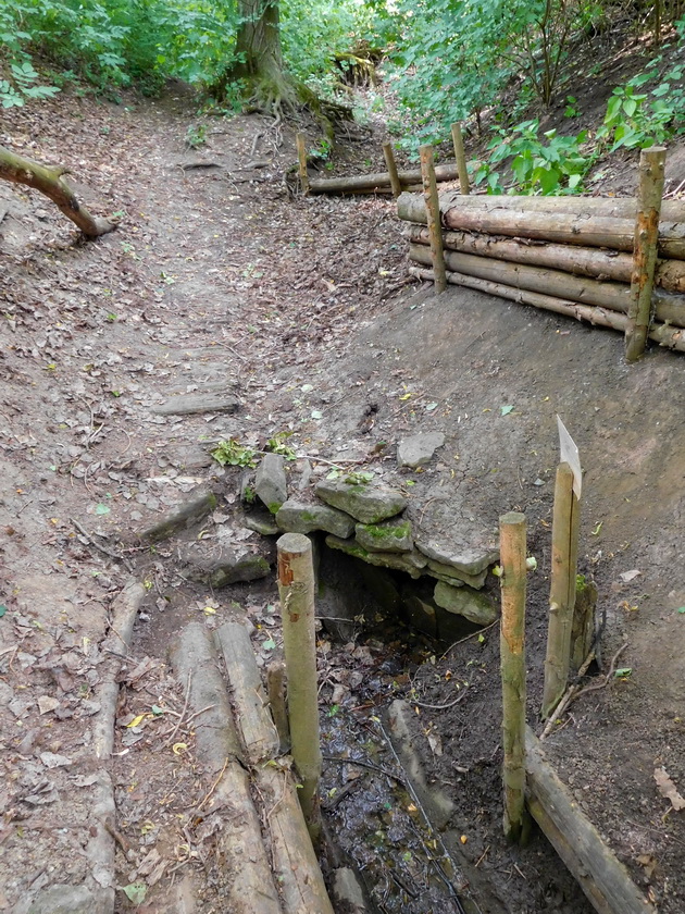 studánka V Remízku (14887) - červen 2023