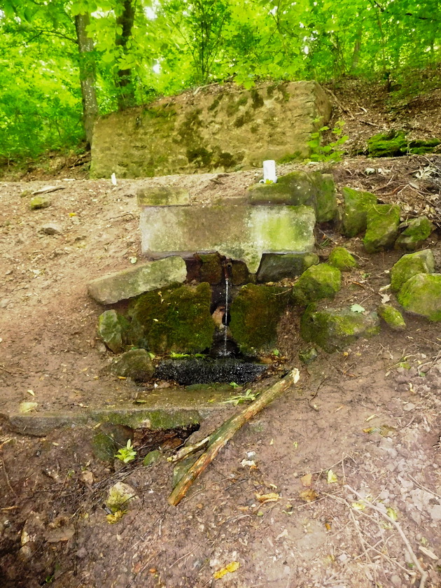 studánka Mariánský pramen spodní (14888) - červenec 2023