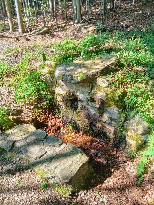 studánka U sv. Josefa (14899) - červenec 2023