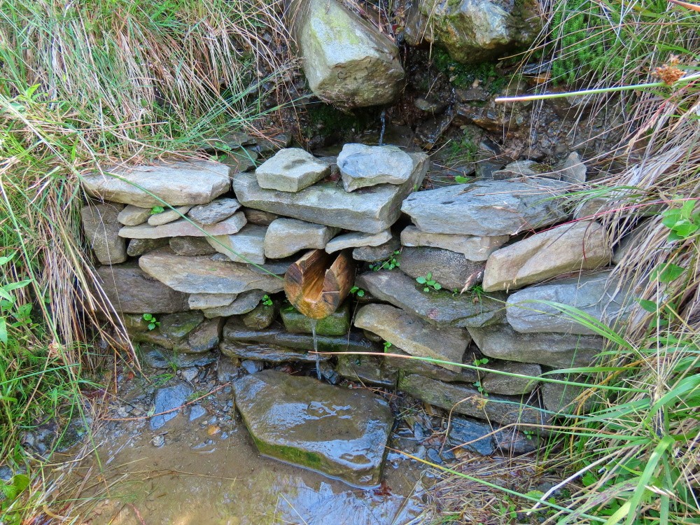 studánka Na Polské vyhlídce (14905) - červenec 2024