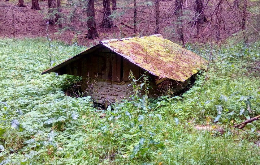 studánka Nad potokem Popelnice (14913) - červenec 2023