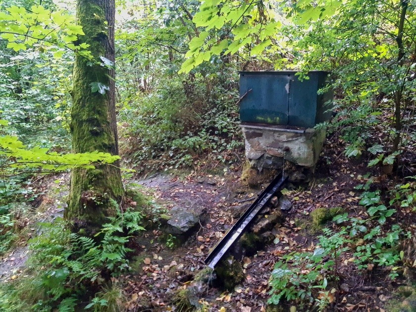 studánka bez jména (14922) - srpen 2023