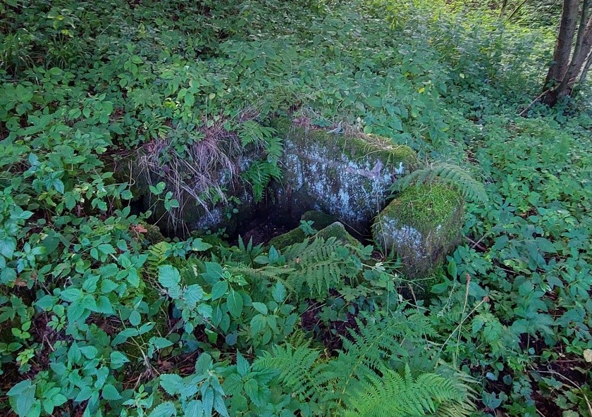 Lázeňská studánka (14938) - srpen 2023