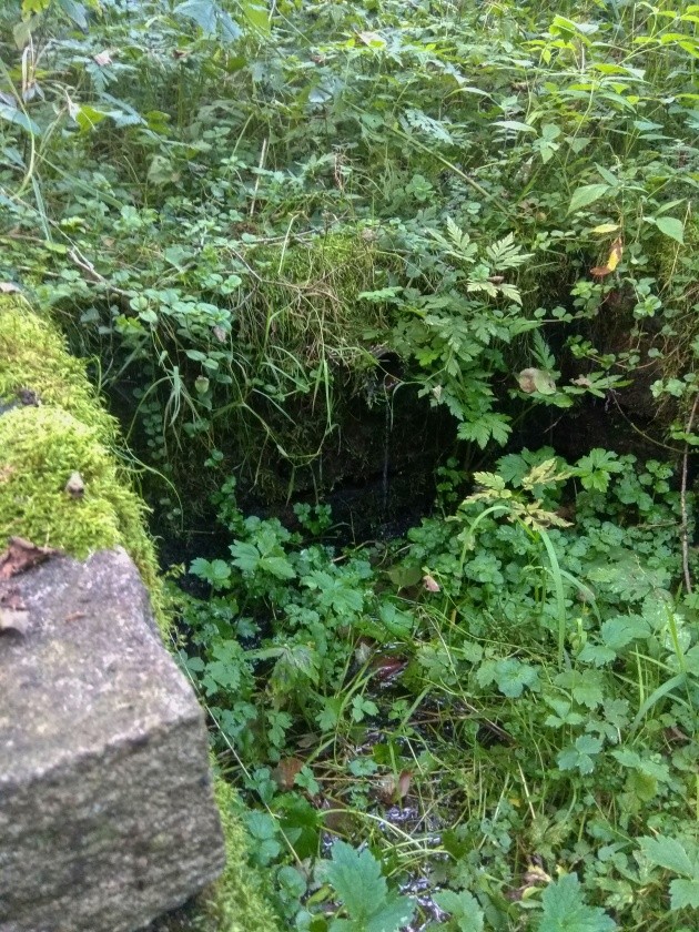 studánka U Huti (14955) - srpen 2023