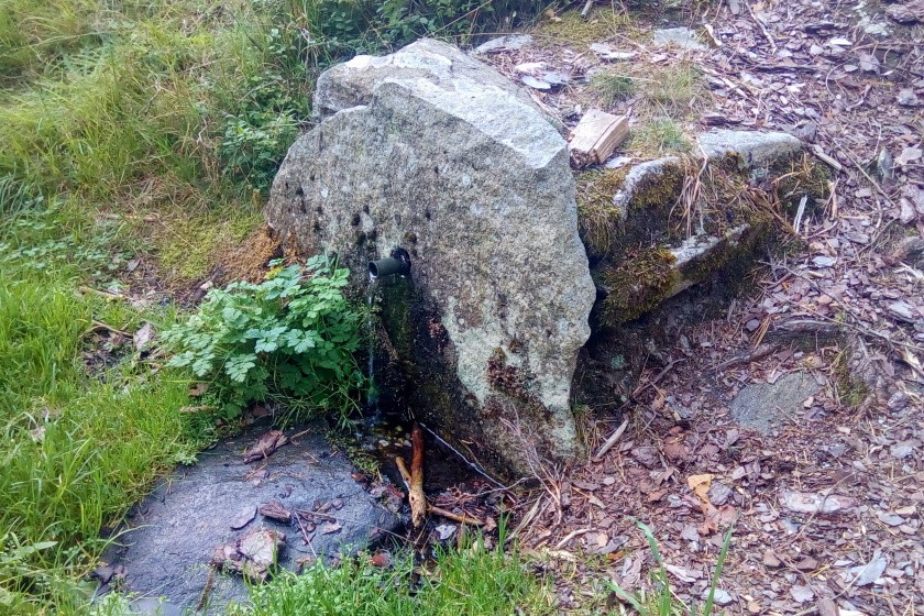 studánka Frýdavská (14964) - srpen 2023