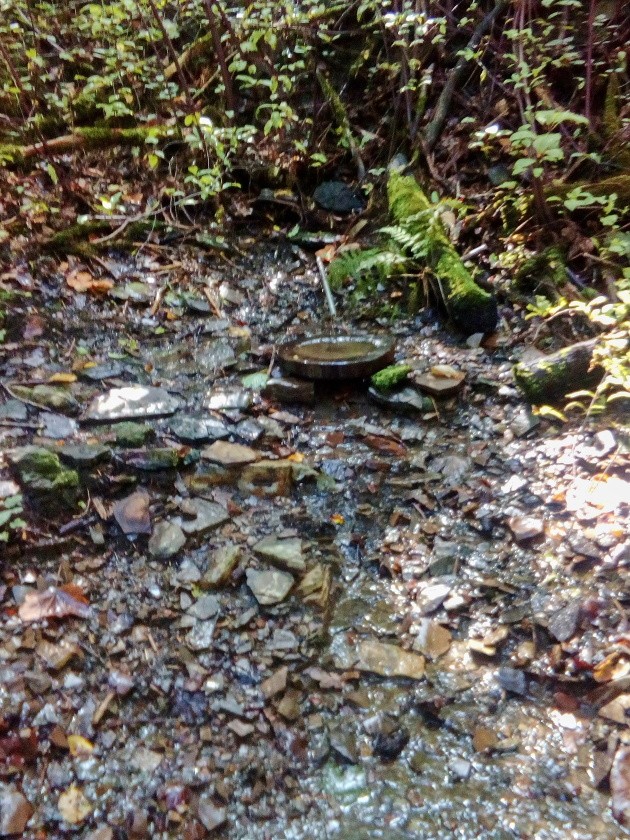 studánka Zuzanka (14974) - září 2023