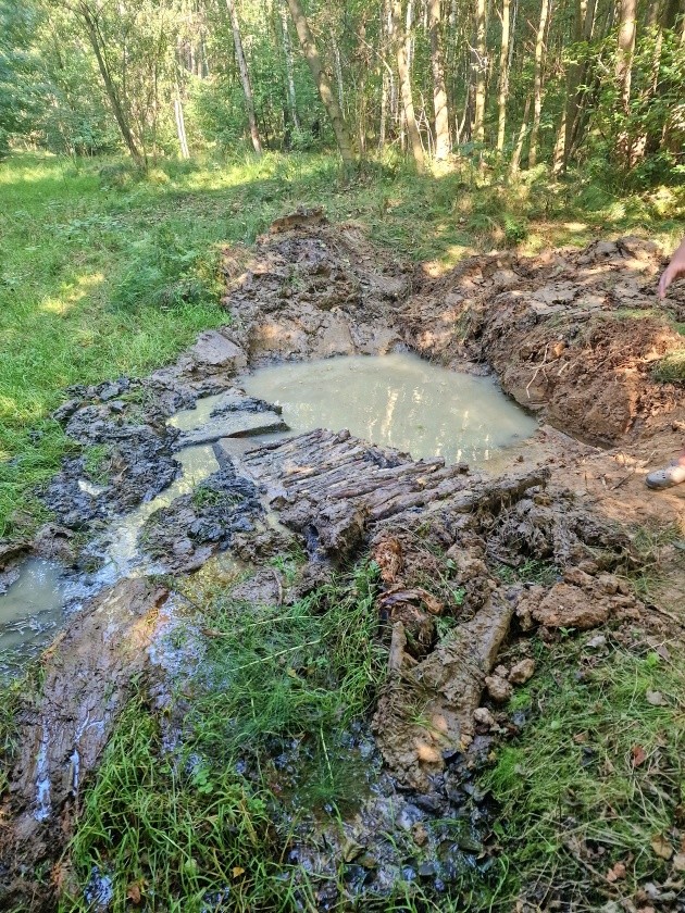 studánka Vrablovecký Medvědice  (14980) - září 2023