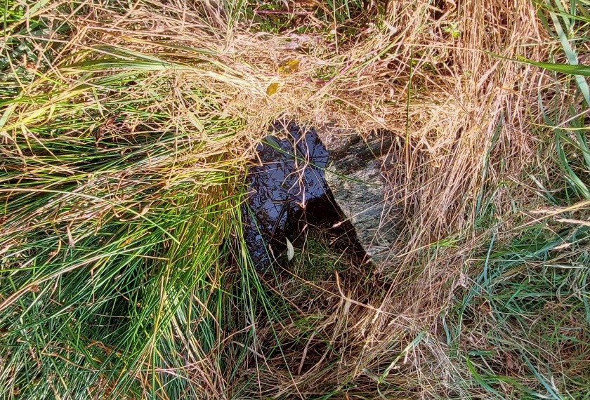 Hoblouňská studánka (14986) - září 2023
