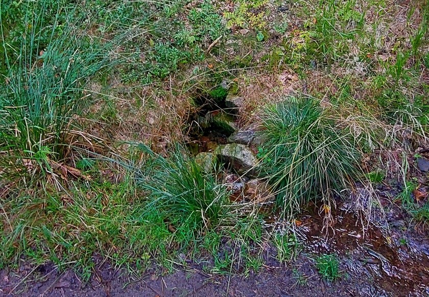 studánka Pod sjezdovkou (14992) - září 2023