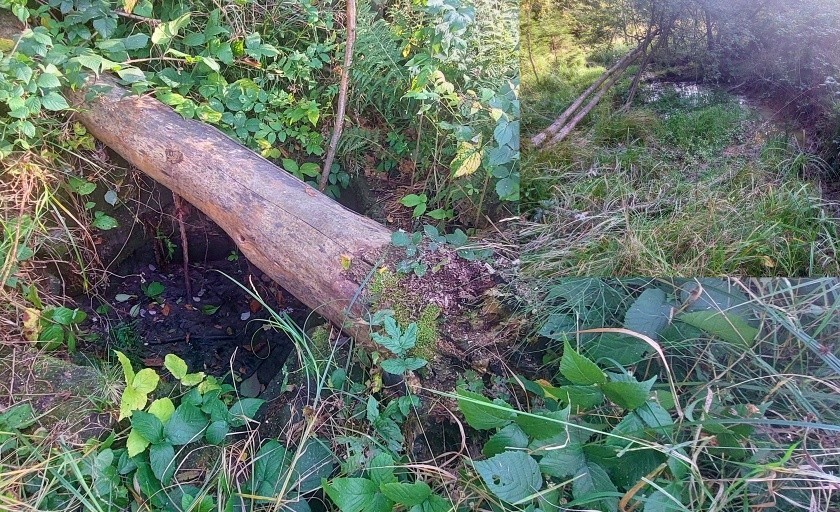 Cilčina studna (15011) - říjen 2023