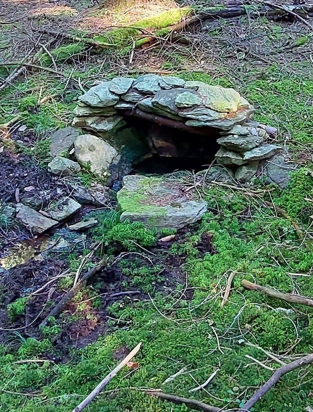 studánka U křivé jedle (15015) - říjen 2023