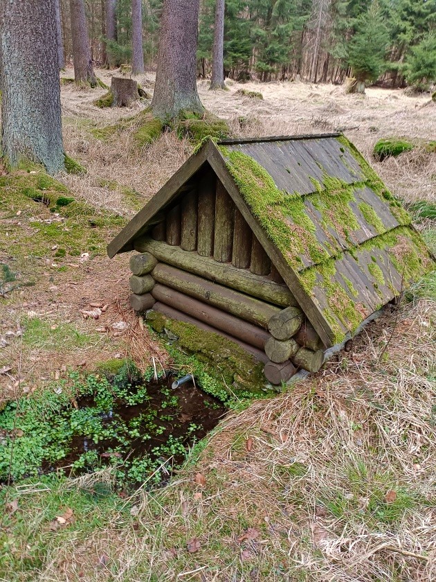 studánka bez jména (15056) - listopad 2023