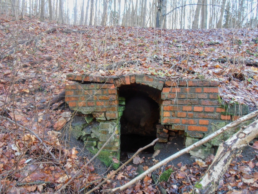 studánka bez jména (15085) - listopad -0001