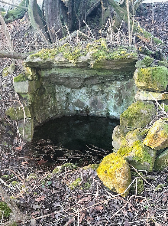 studánka Na mezi (15087) - leden 2024