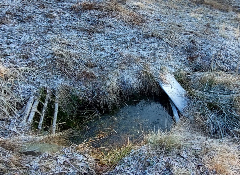studánka V zatáčce (15090) - leden 2024