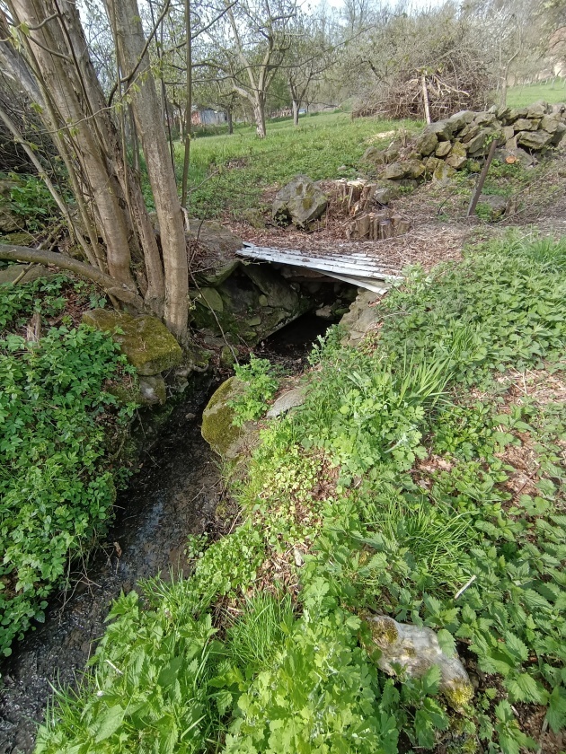 studánka bez jména (15095) - květen 2023