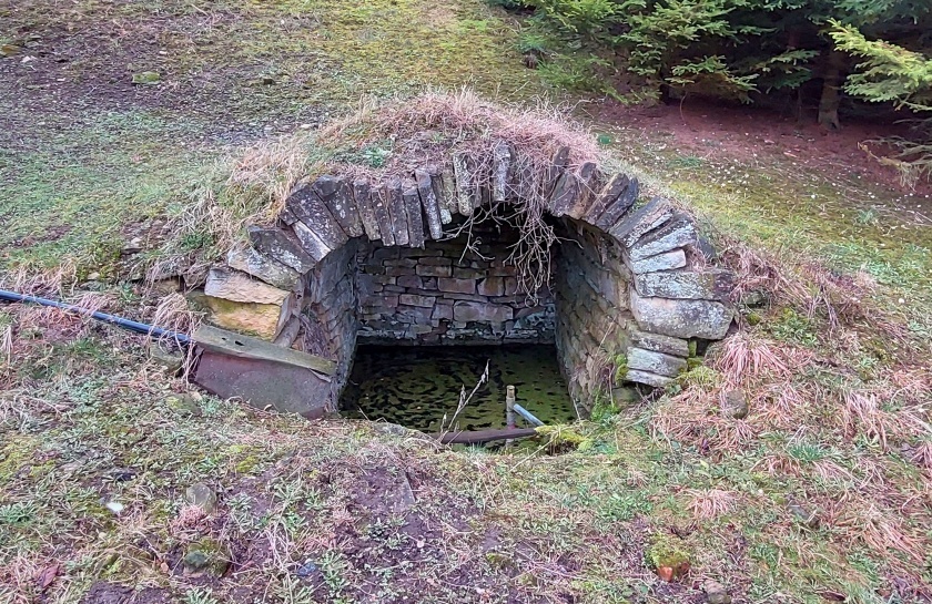 studánka Pod rybníkem (15125) - únor 2024