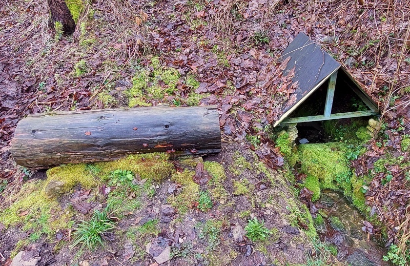 studánka Pod tvrzí (15127) - únor 2024