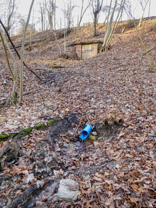 Holasická studánka (15136) - únor 2024