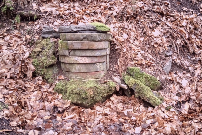 studánka bez jména (15150) - březen 2024