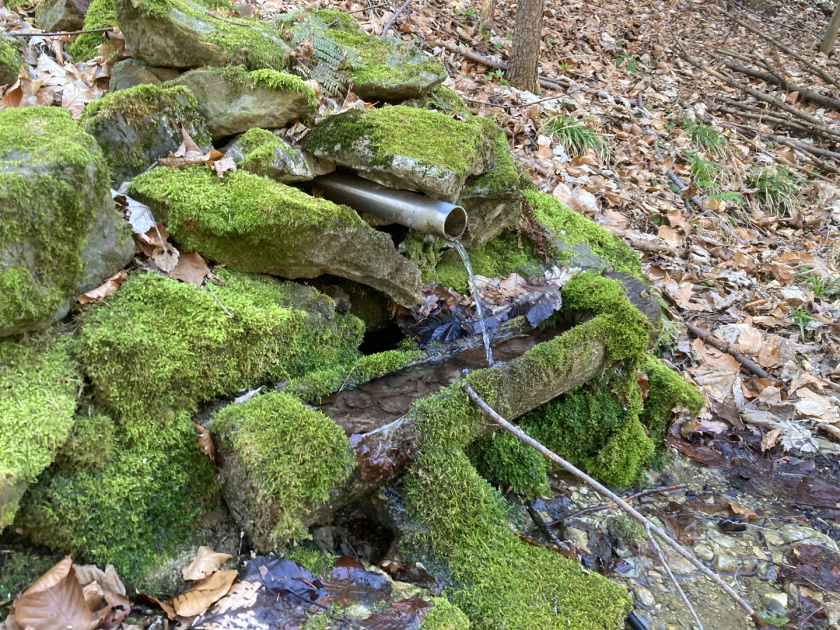 studánka Na Zuberáku (15152) - březen 2024