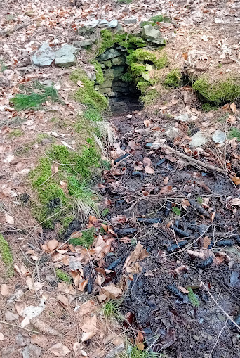studánka bez jména (15154) - březen 2024