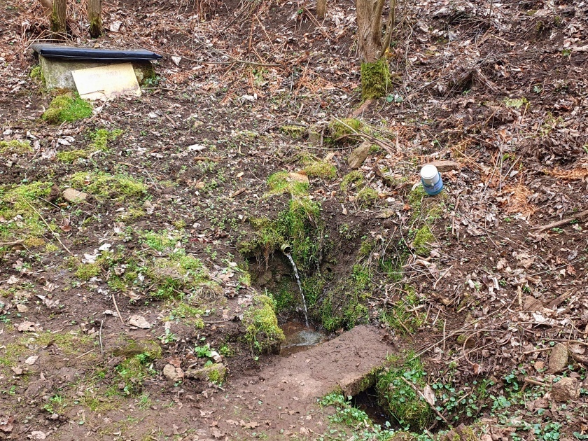 studánka V Lipovce (15157) - březen 2024
