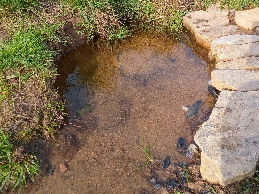 Maškova studánka (15160) - březen 2024
