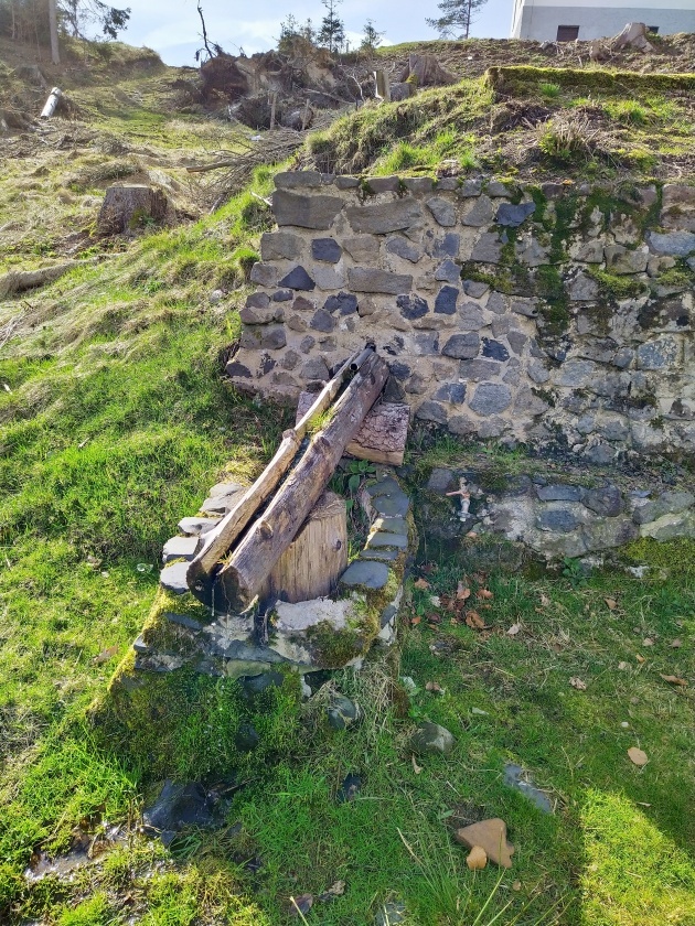 studánka bez jména (15161) - březen 2024