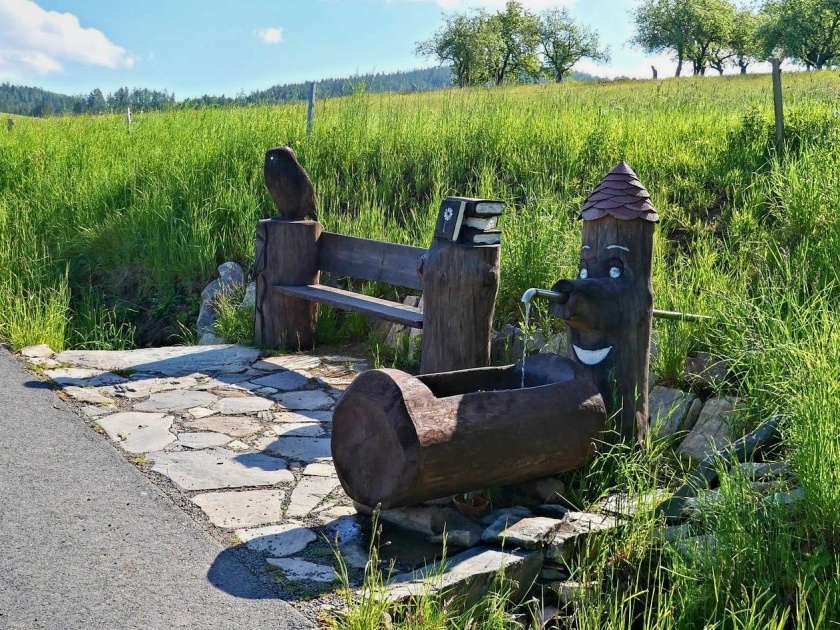 studánka Nad Lehomí (15162) - březen 2024