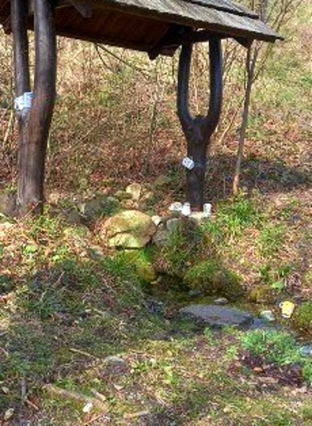 studánka Pod Kunovickou hůrkou (15167) - březen 2024