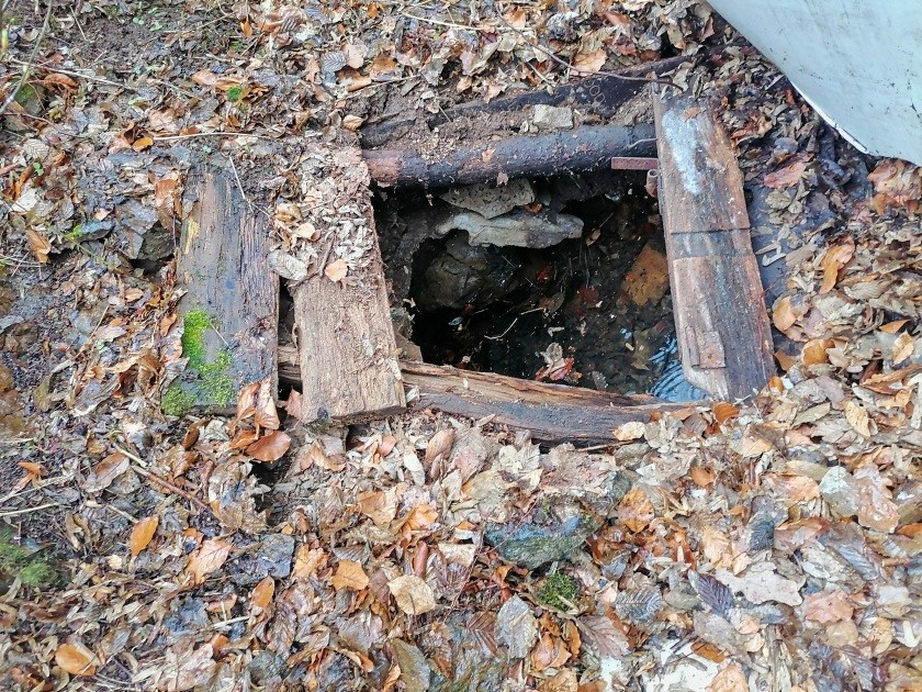 Studánka pod Krkavčí skálou  (15178) - březen 2024