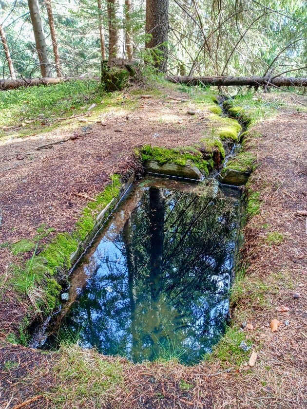 studánka bez jména (15181) - duben 2024