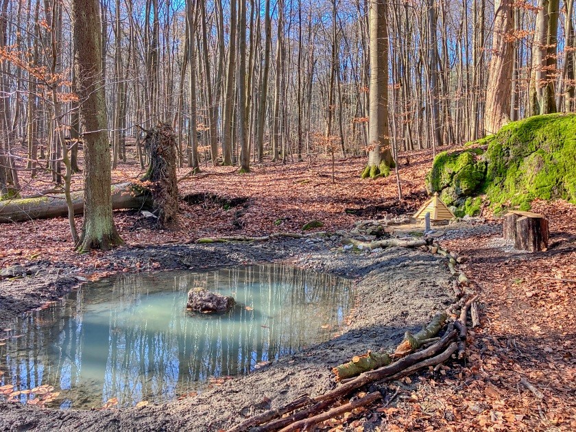 studánka Pod Mechovým kamenem (15189) - březen 2024