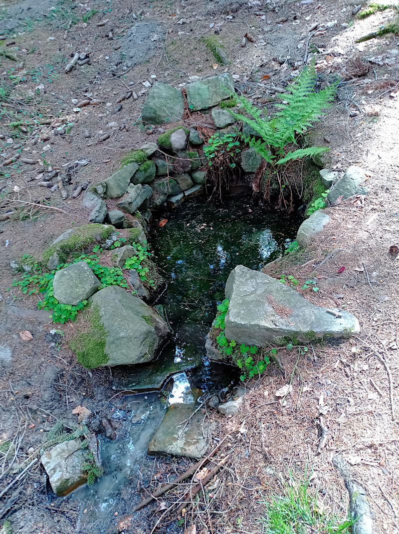 Jechova studánka (15199) - květen 2024