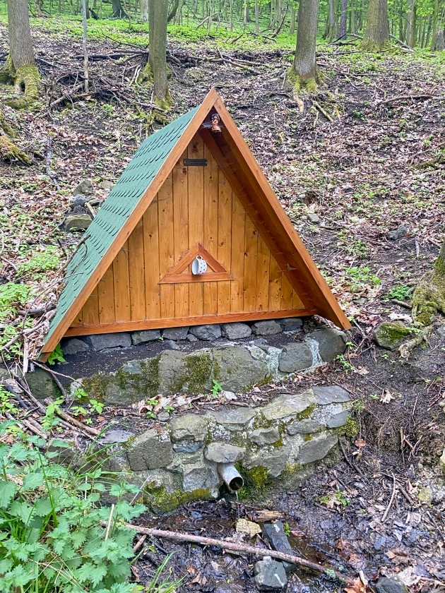 studánka Pod Kružínským platem (15203) - květen 2024