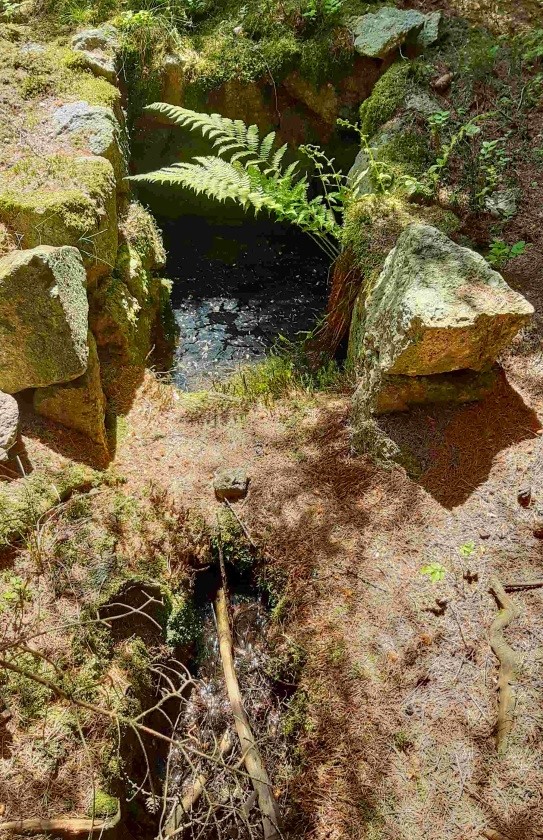 Bublavá studánka  (15210) - květen 2024